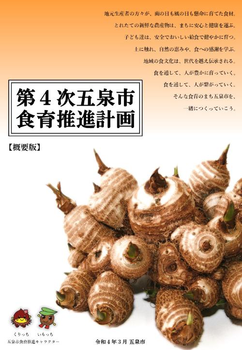 概要版