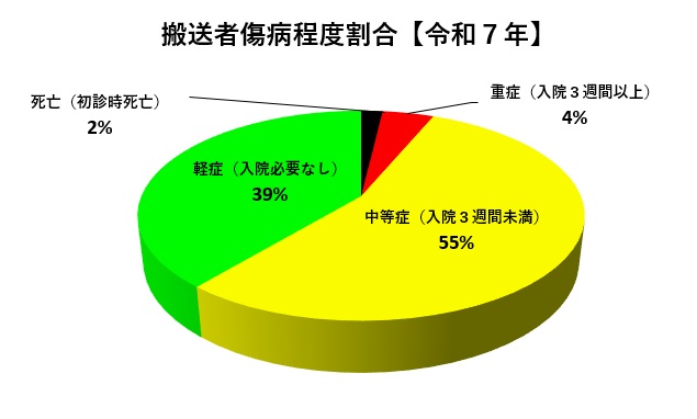 搬送者傷病程度割合令和6年