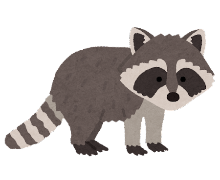 アライグマのイラスト