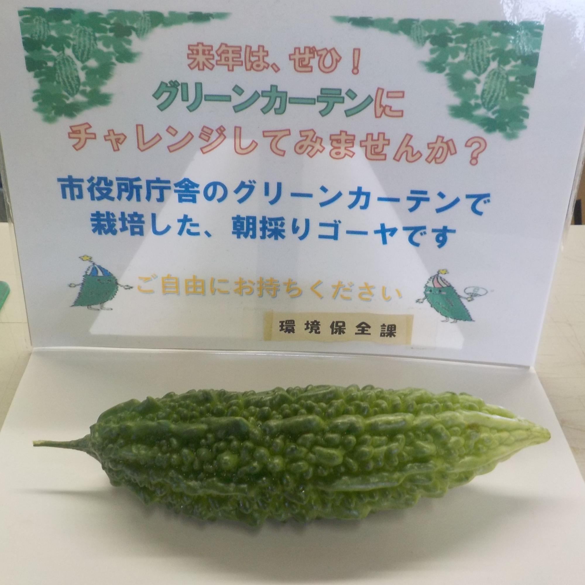 初収穫