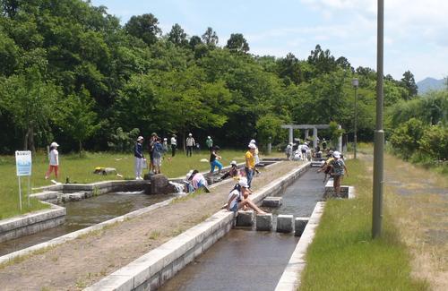 清流の里川瀬公園でこども等が水遊びをしている様子の写真