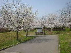 城跡公園の写真