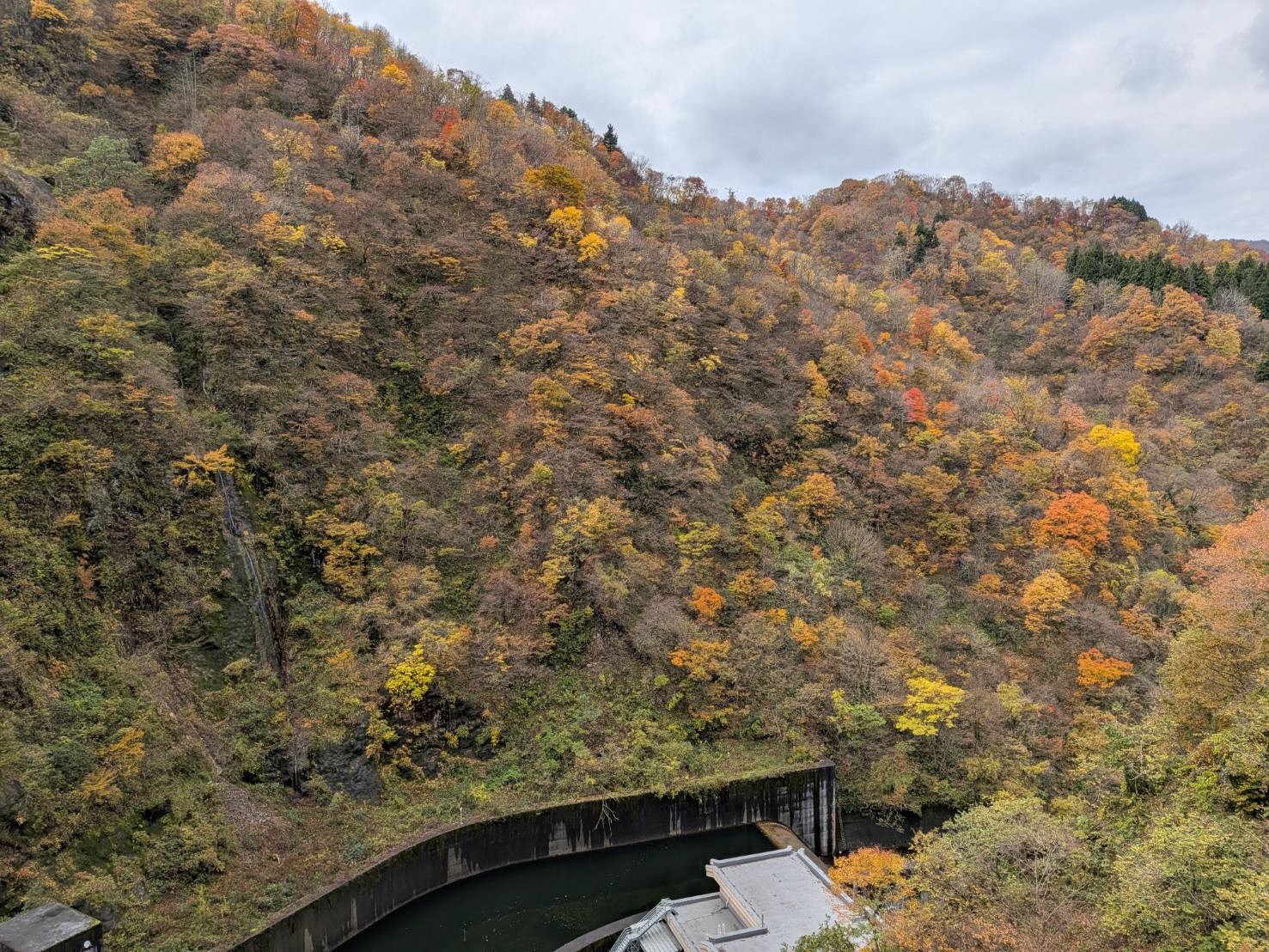 早出川ダムの紅葉写真