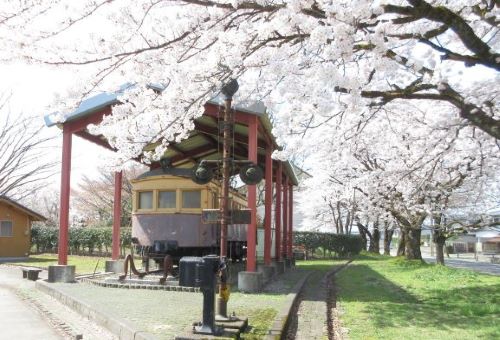 桜風景