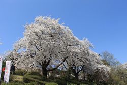 村松公園