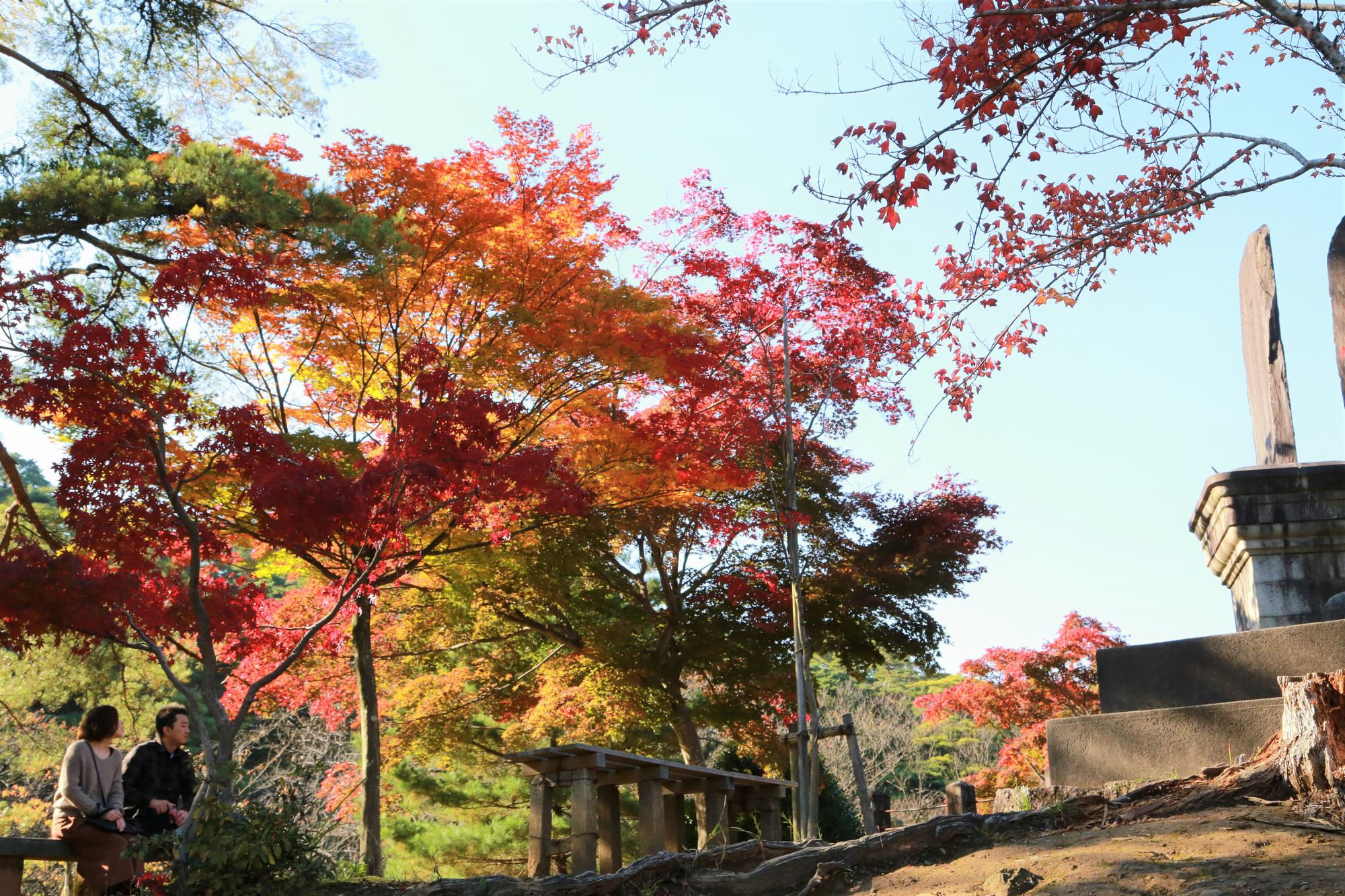 村松公園の紅葉