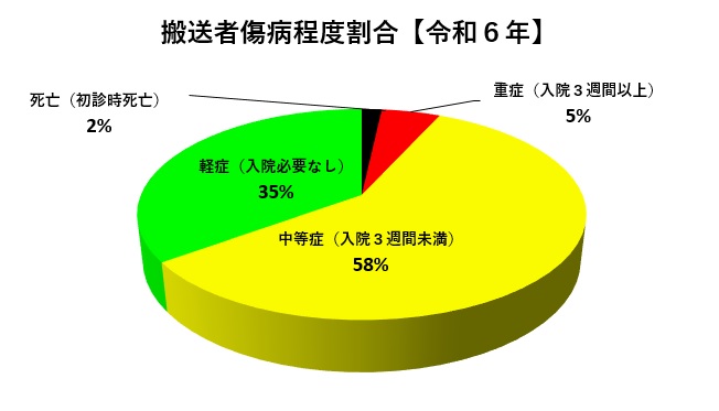 搬送者傷病程度割合令和6年