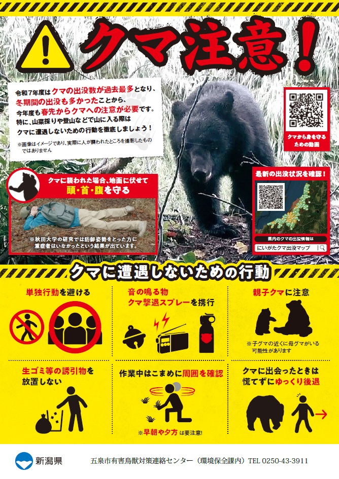 クマ注意