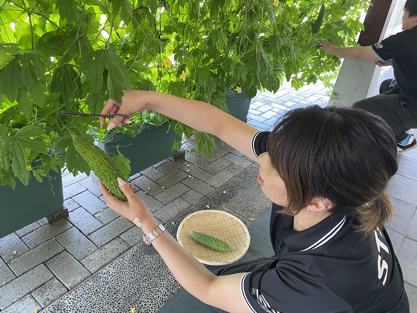 R8ラポルテ2