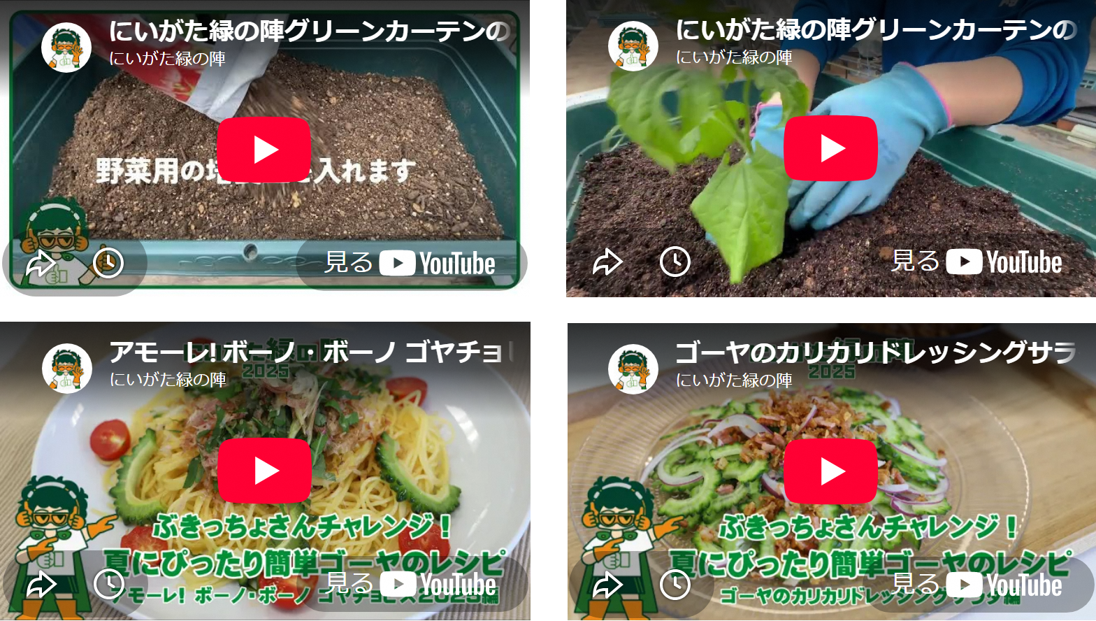 ゴーヤ動画