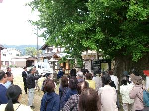 上郷屋のオハツキイチョウ