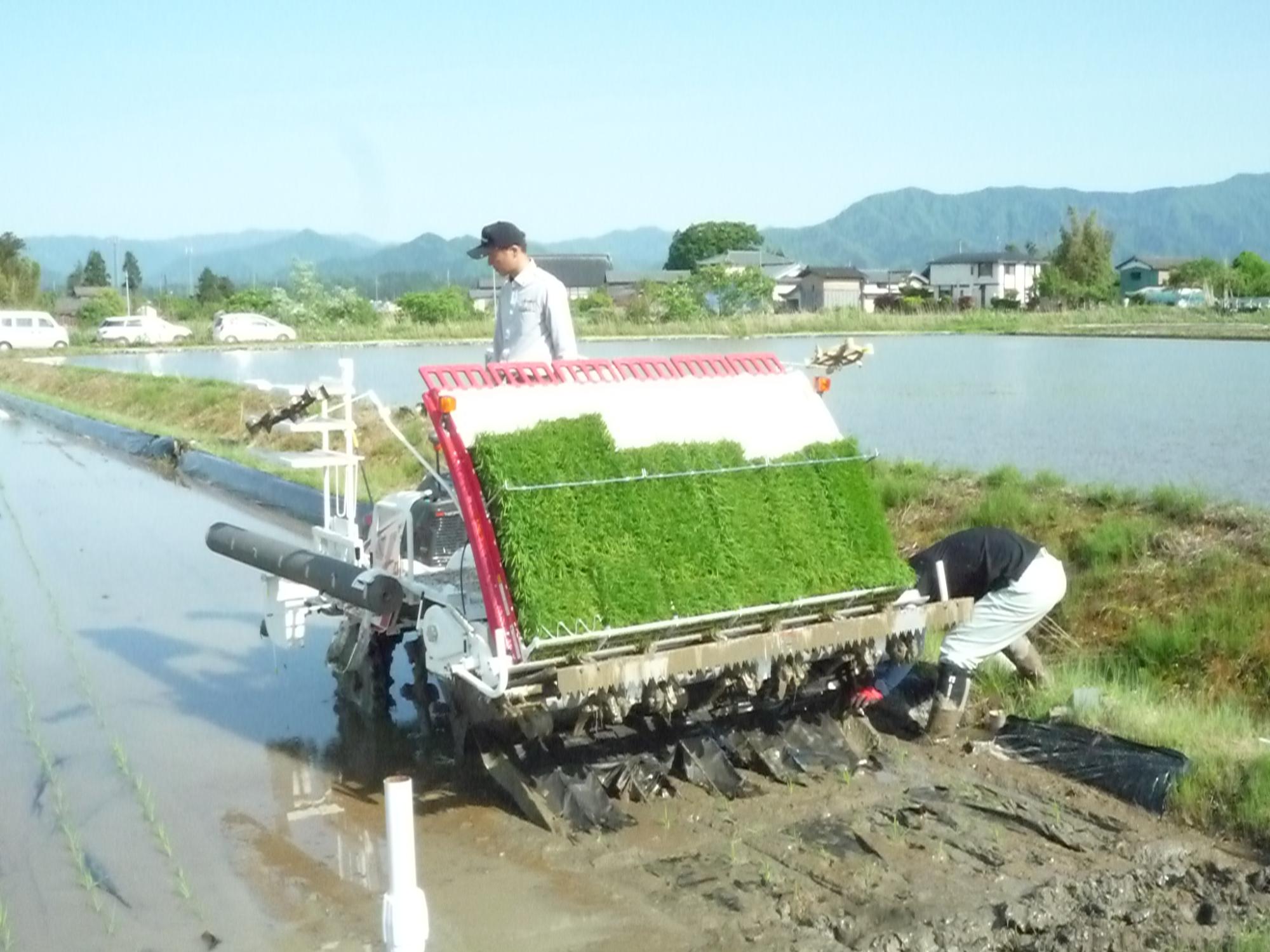 有機農業