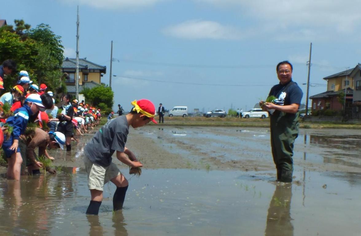 小学生による田植えの様子