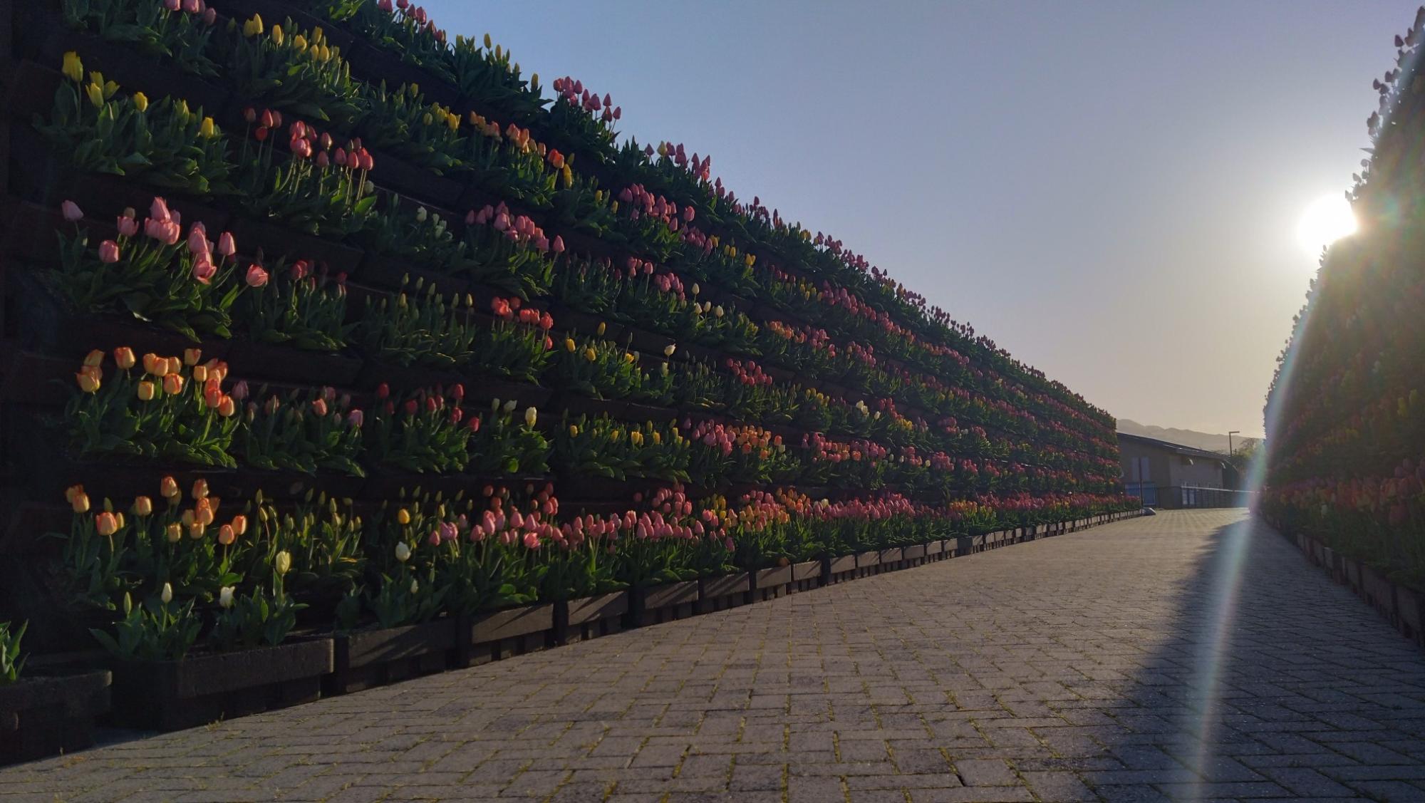 ルデフルの写真