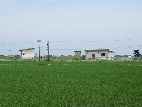 東部浄水場の外観の写真