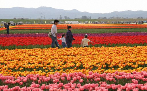 ふるさと五泉のいいモノ・いいコト 地域の魅力をつなぐためにの写真