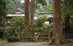 慈光寺・杉並木の写真