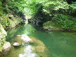 仙見川渓谷の写真