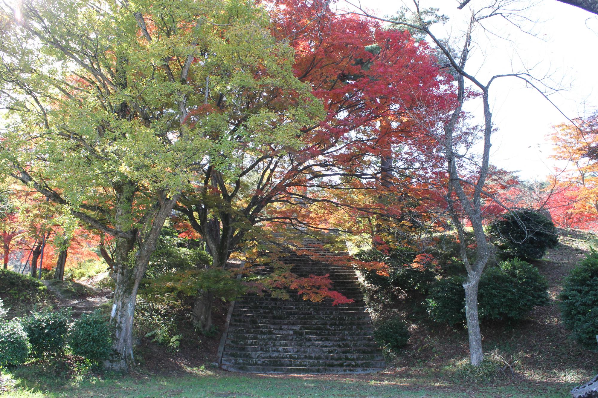 村松公園の紅葉写真