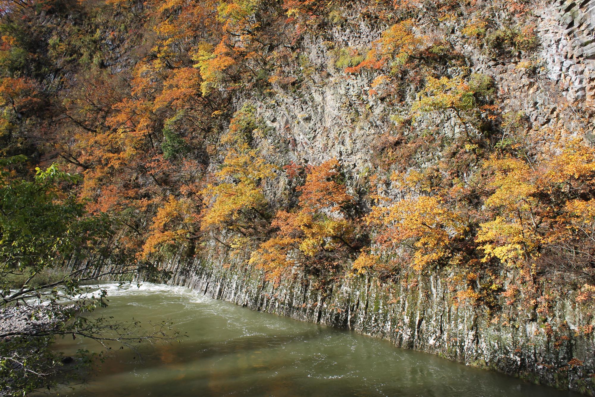 衣岩の紅葉写真