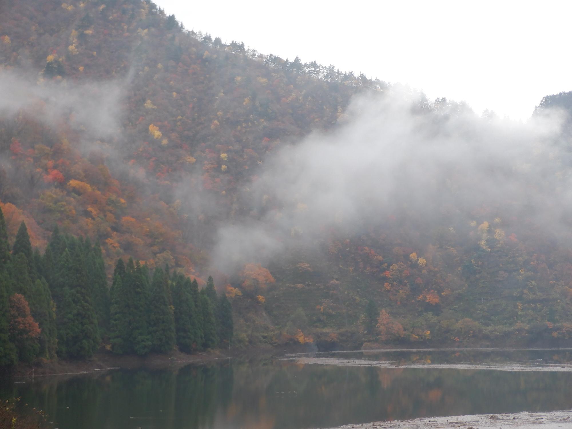 早出川ダムの紅葉写真