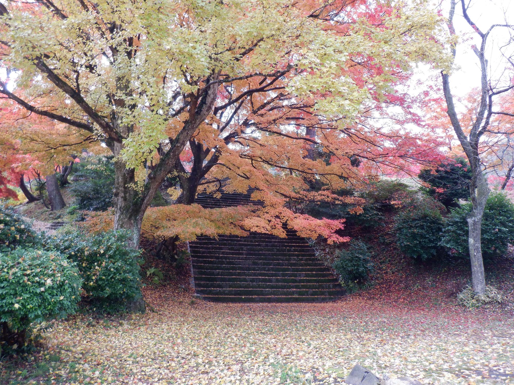 村松公園の紅葉写真