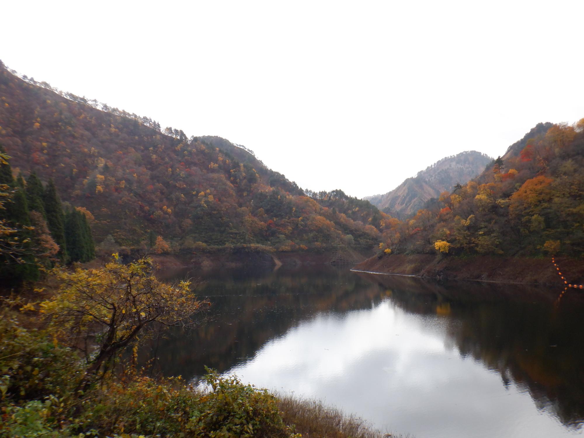 早出川ダムの紅葉写真