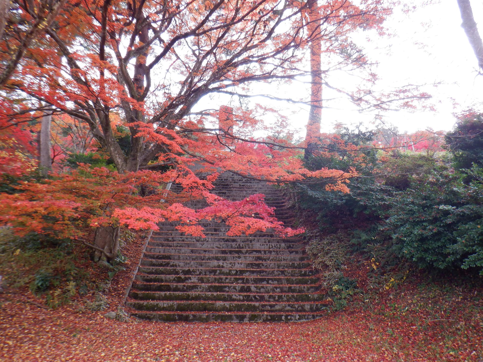 村松公園の紅葉写真