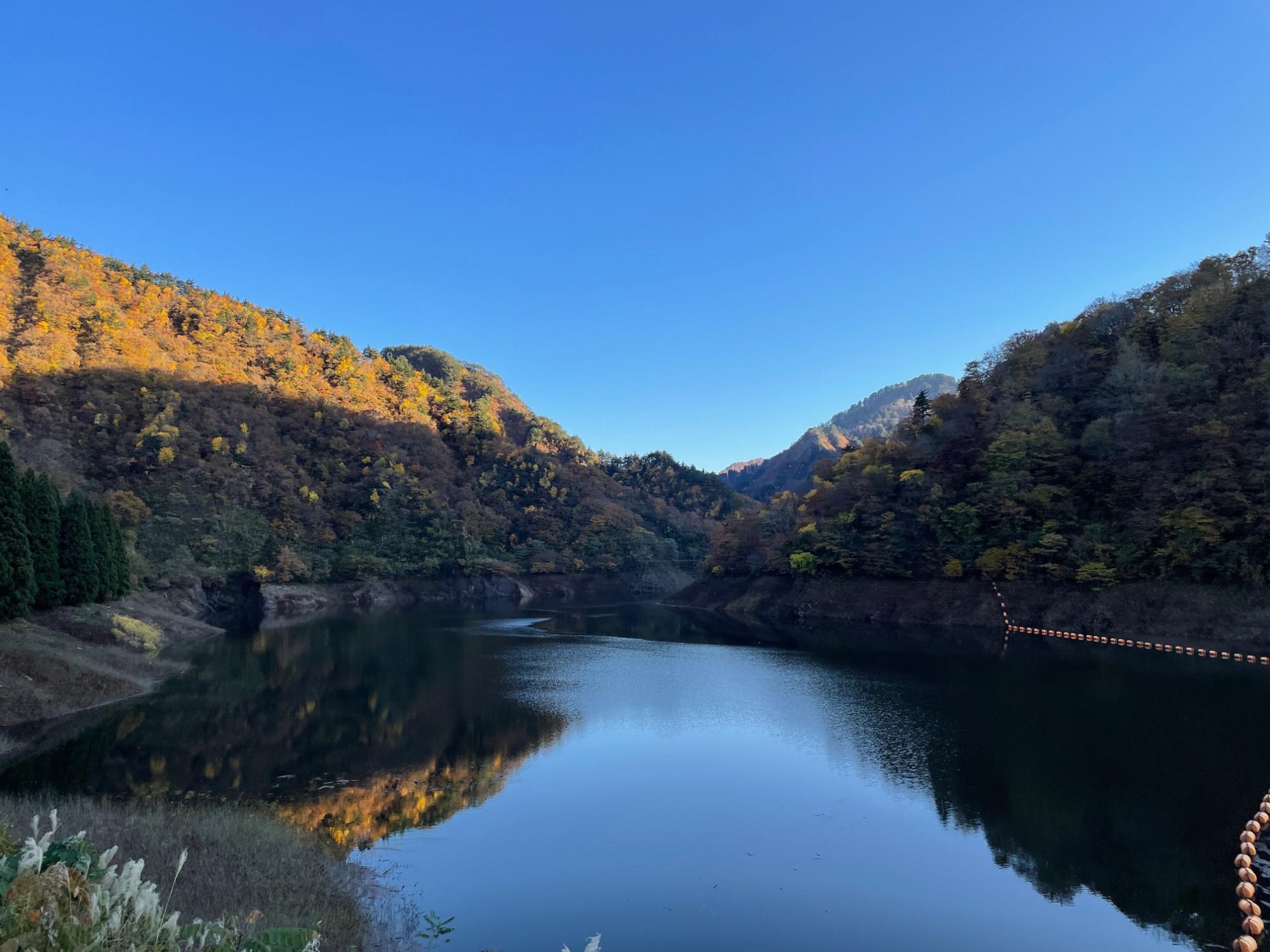 早出川ダムの紅葉写真