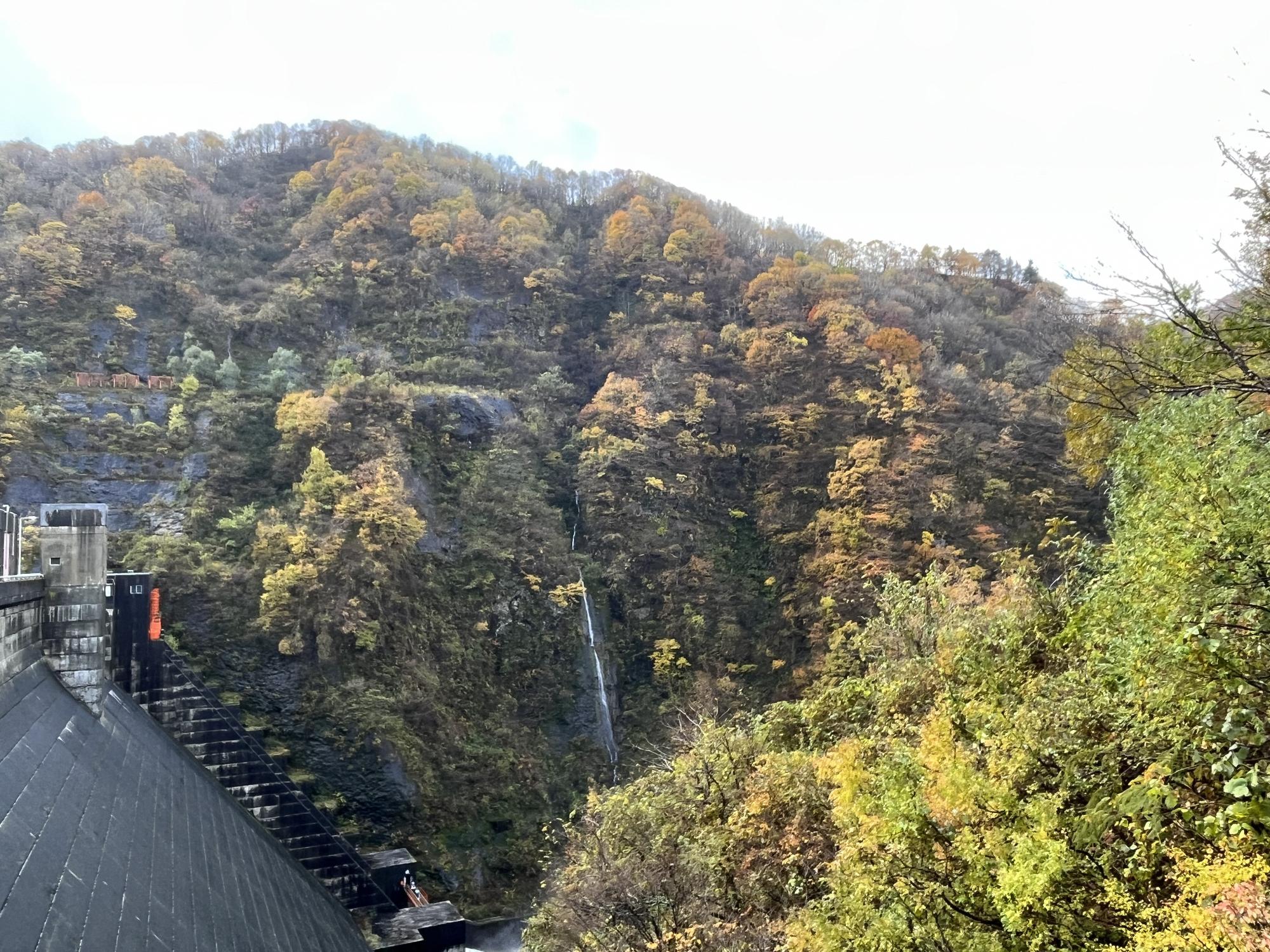早出川ダムの紅葉写真