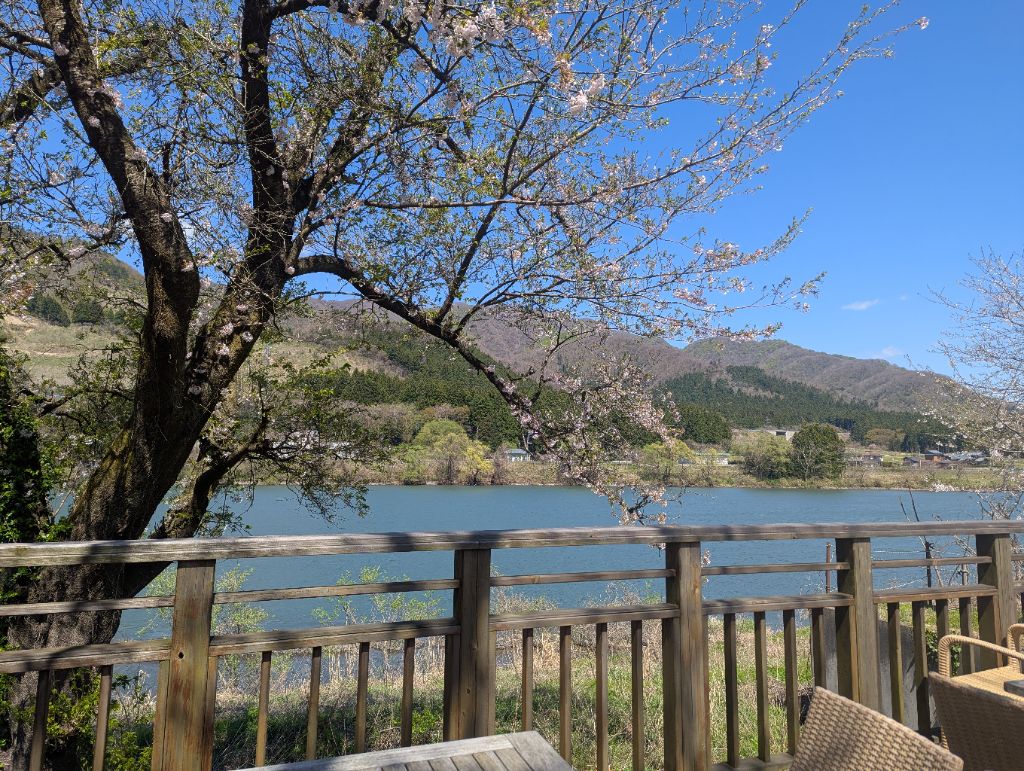 咲花温泉桜写真4月12日